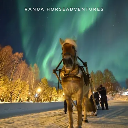 Wilderness Ranua